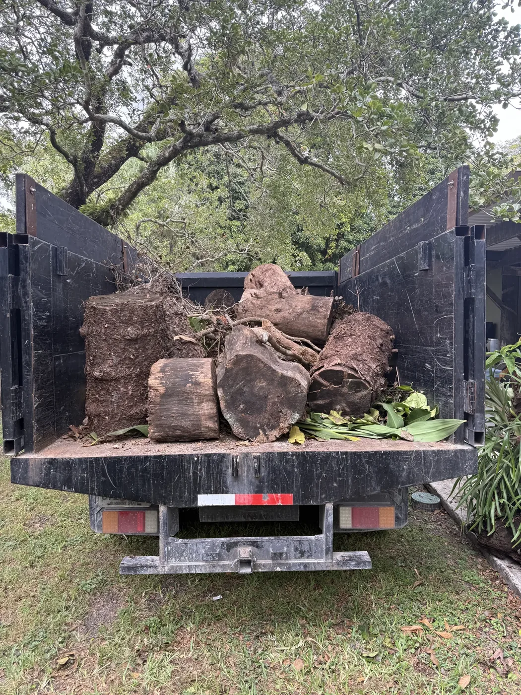 Tree trunk sections and leafy branches loaded in a junk removal truck